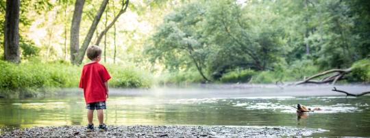 Gunpowder Falls State Park campground in Harford County, Maryland
